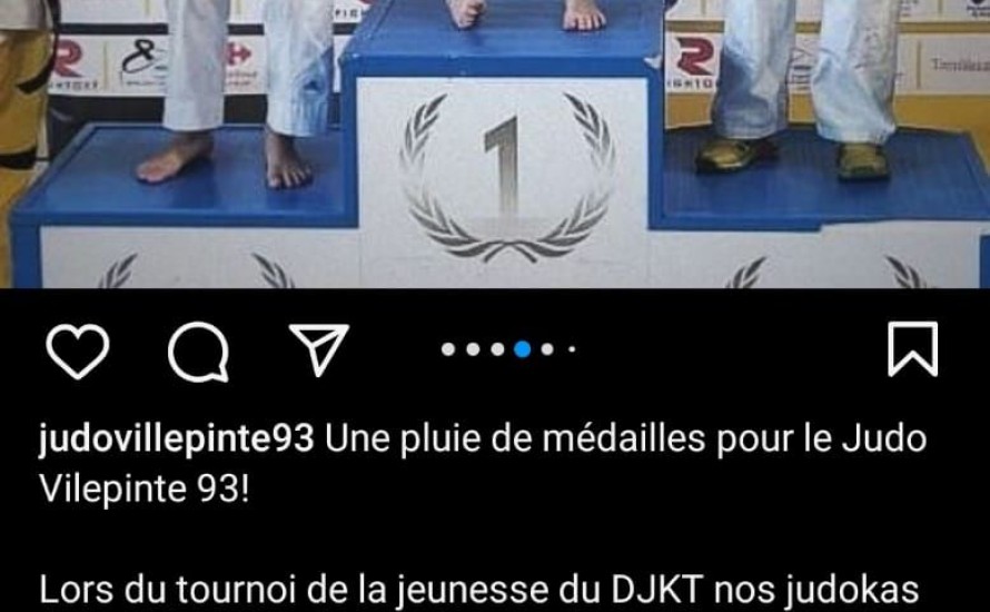 Une pluie de médailles  pour le Judo Villepinte 93!